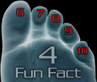 Fun Fact 4